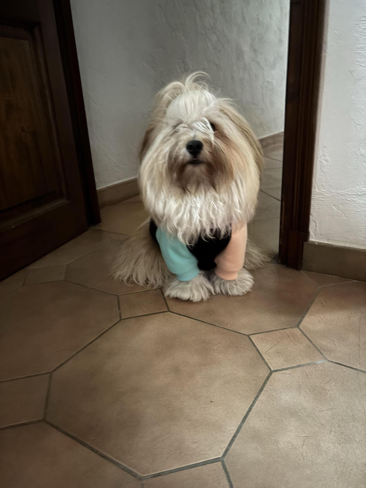 Milo (Valient)