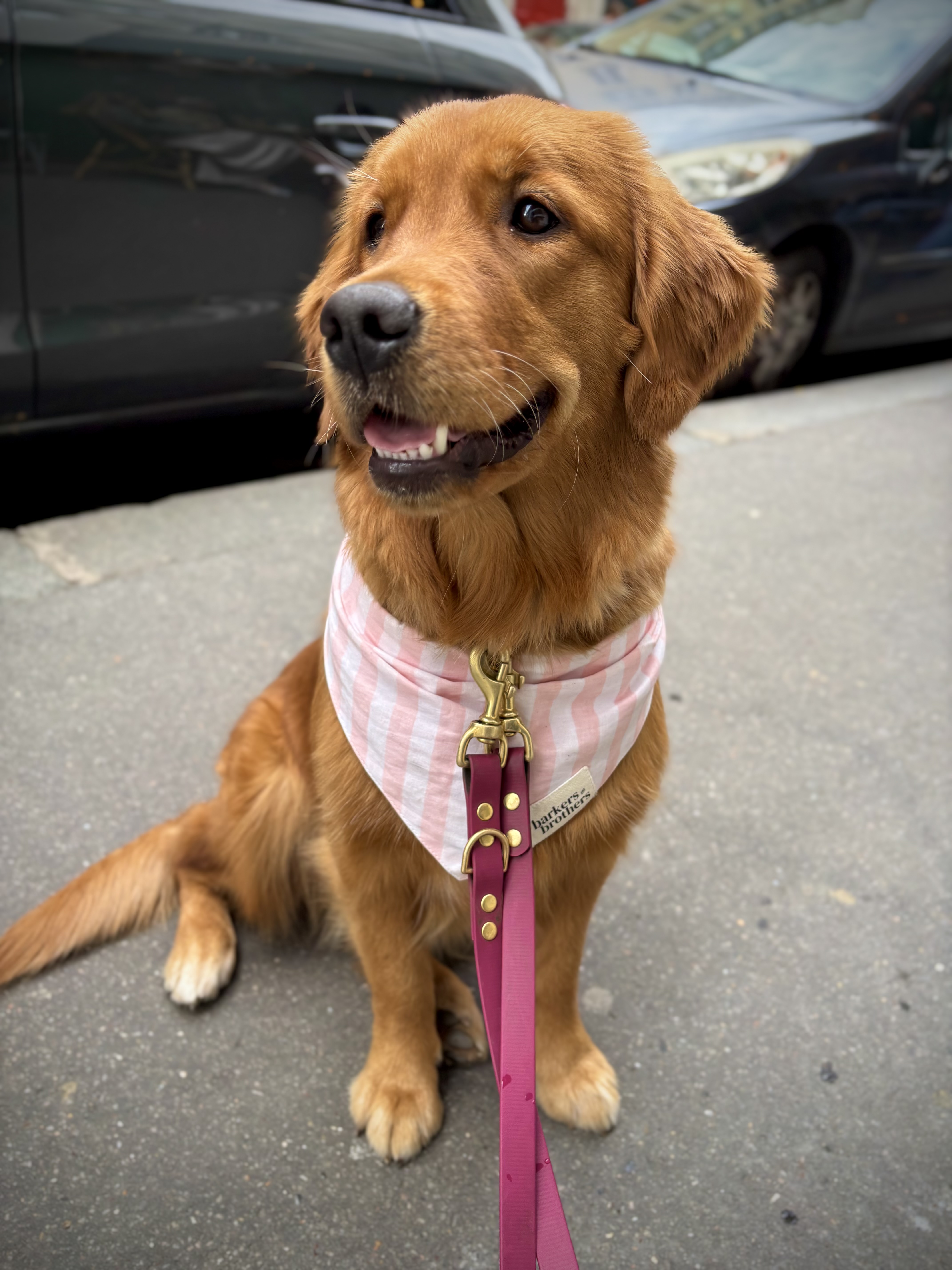 Bonnie